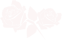 esther-hock-la-vie-en-rose-weiss